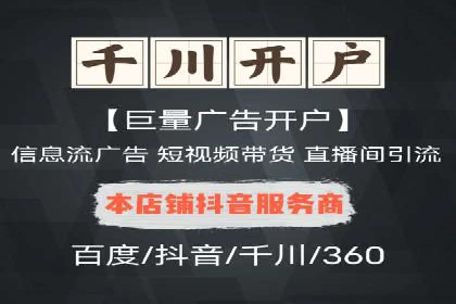 谷歌SEM案例研究：数据分析与效果评估